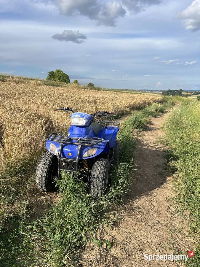 Quad eton 100 2t Pałecznica