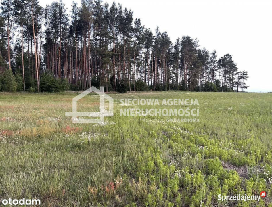 sprzedaży gruntu Niesiołowice 1500m2 1500m2