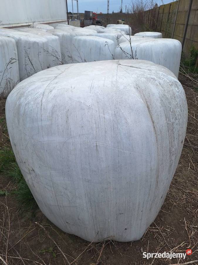 Baloty siano kiszonka Warszew