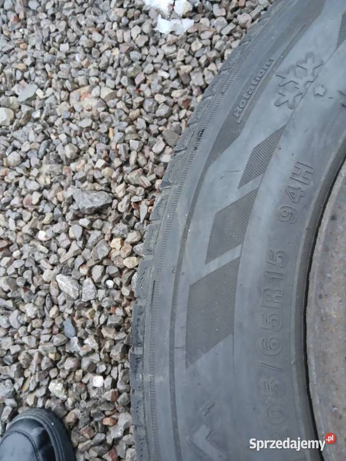 Opony zimowe 2056515 Zeetex WP 100 2020 felgi Sandomierz