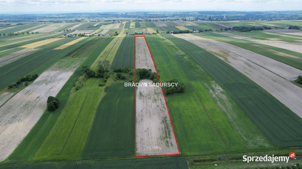 Działka 30500m2 PrandocinIły 42m Prandocin-Iły sprzedam