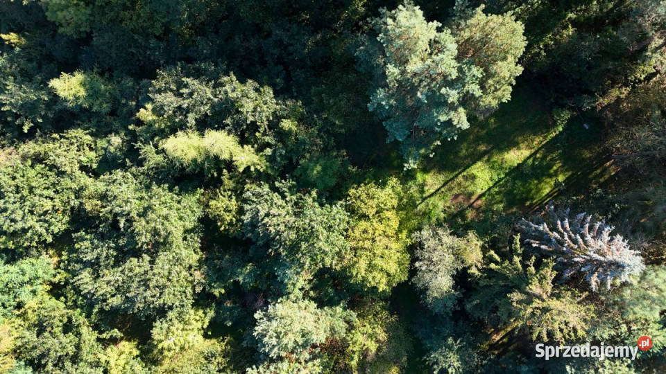 Działka 2702m2 Wincentów