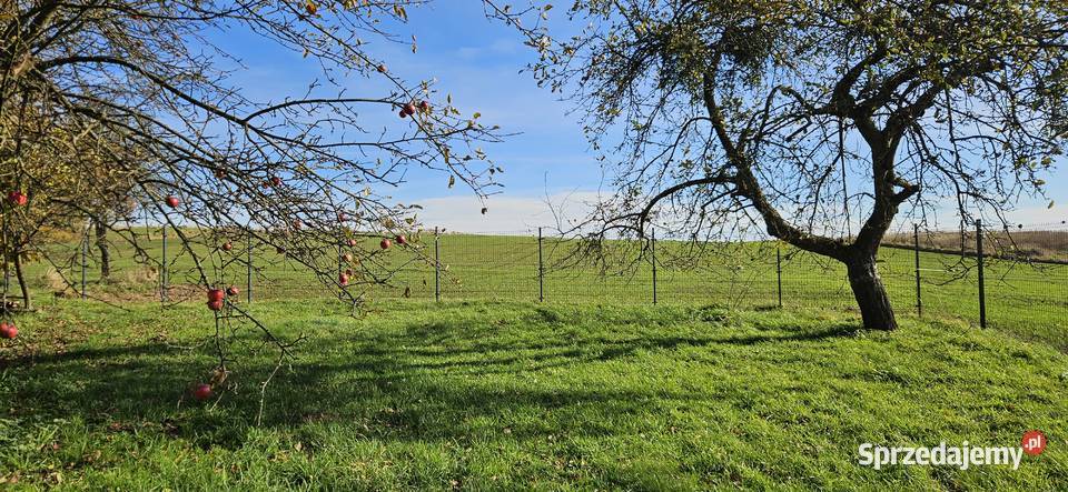 Siedlisko Dom murowane budynki pod uprawy Karkówka