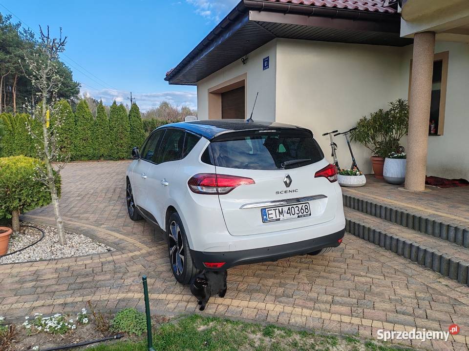 Scenic iv 2020r Kolonia Zawada