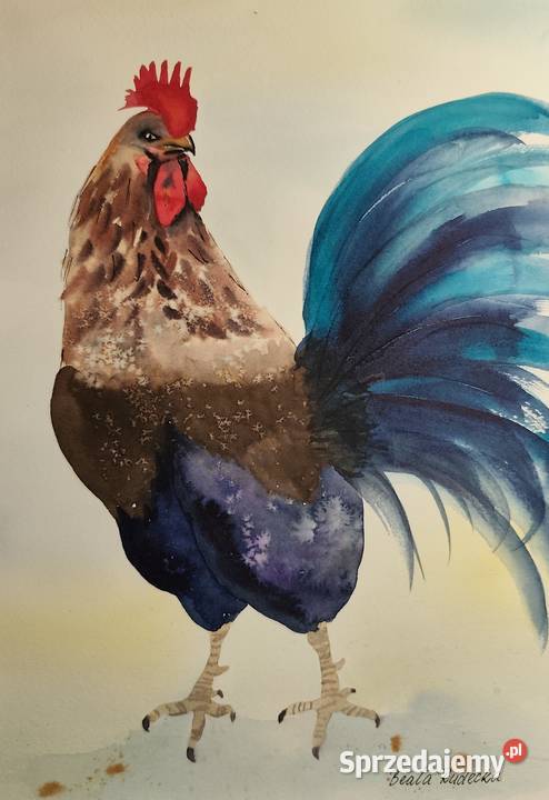 Akwarela Akwarelka Obraz pt Strażnik Świtu mazowieckie