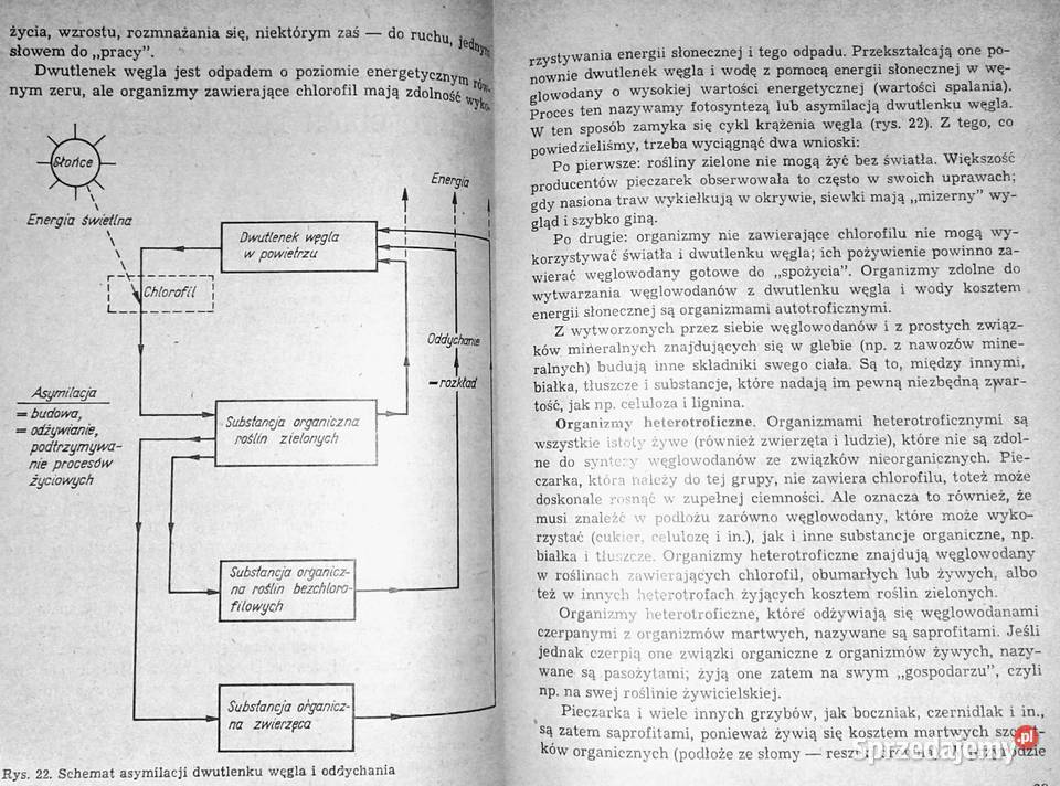 Nowoczesna uprawa pieczarki PJC Vedder miękka Chełm