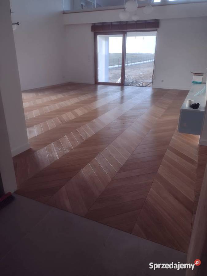 Jodła francuska Lublin