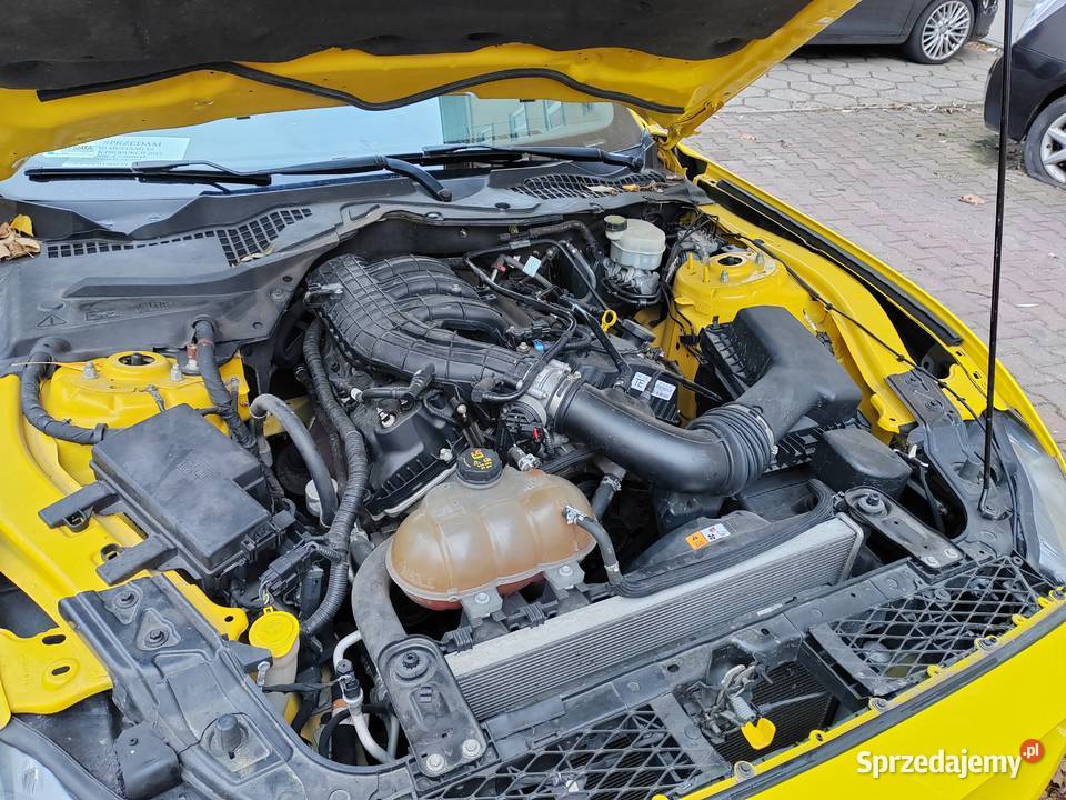 Ford mustang 37 mazowieckie