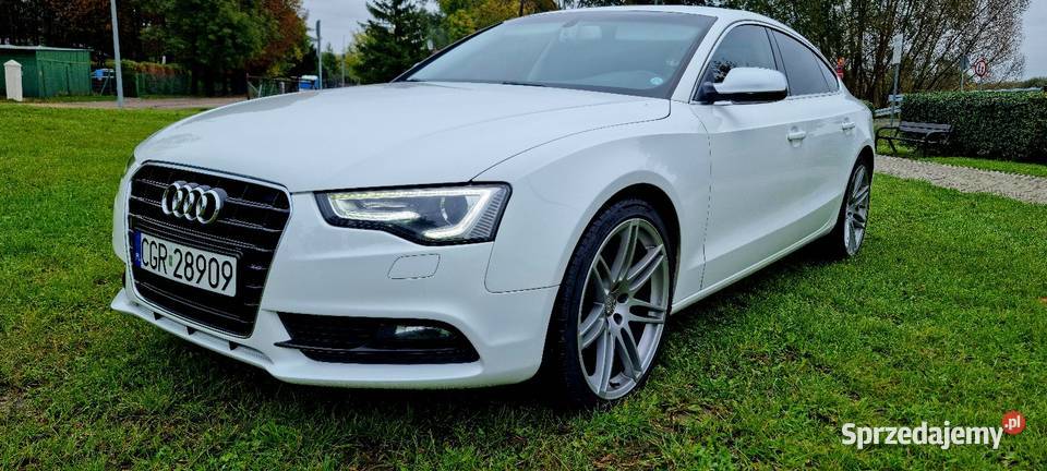 Sportback 20 150 Grudzień 2013r Grudziądz