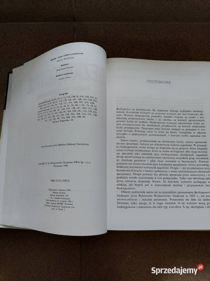 Książka Bezkręgowce podstawy morfologi Olkusz