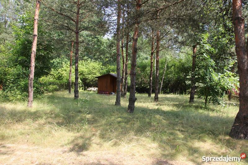 Wrzosów działka rekreacyjna z domkiem