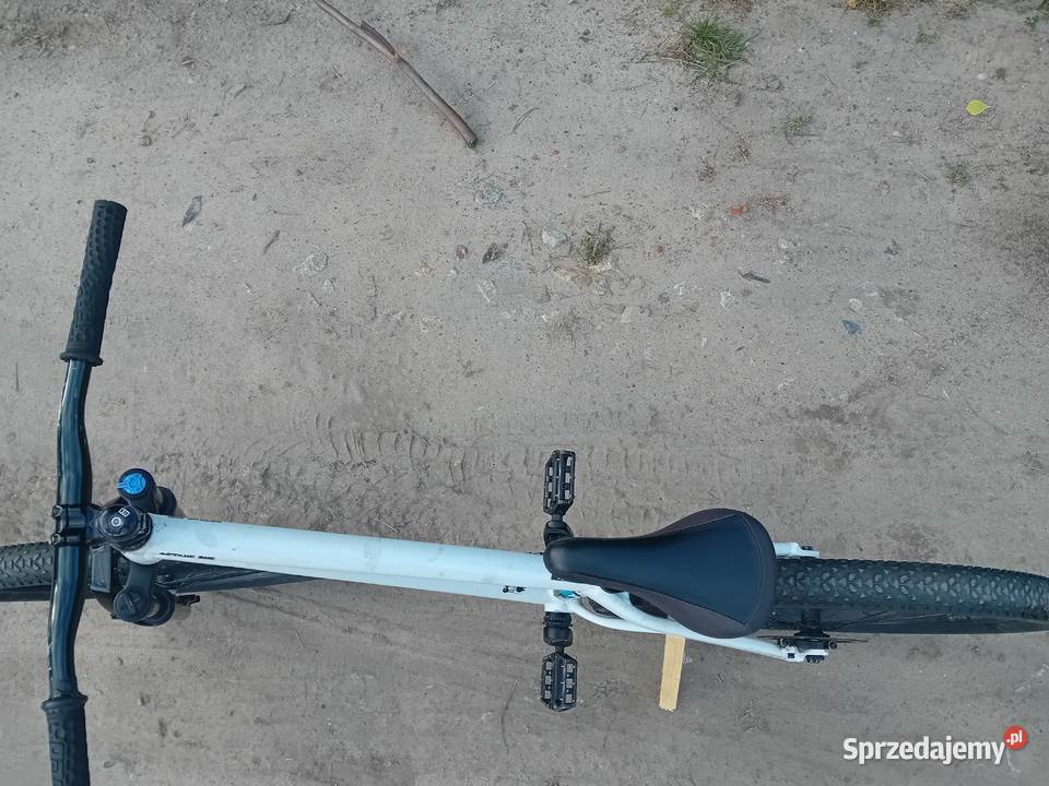 Rower dirt octane one pump melt