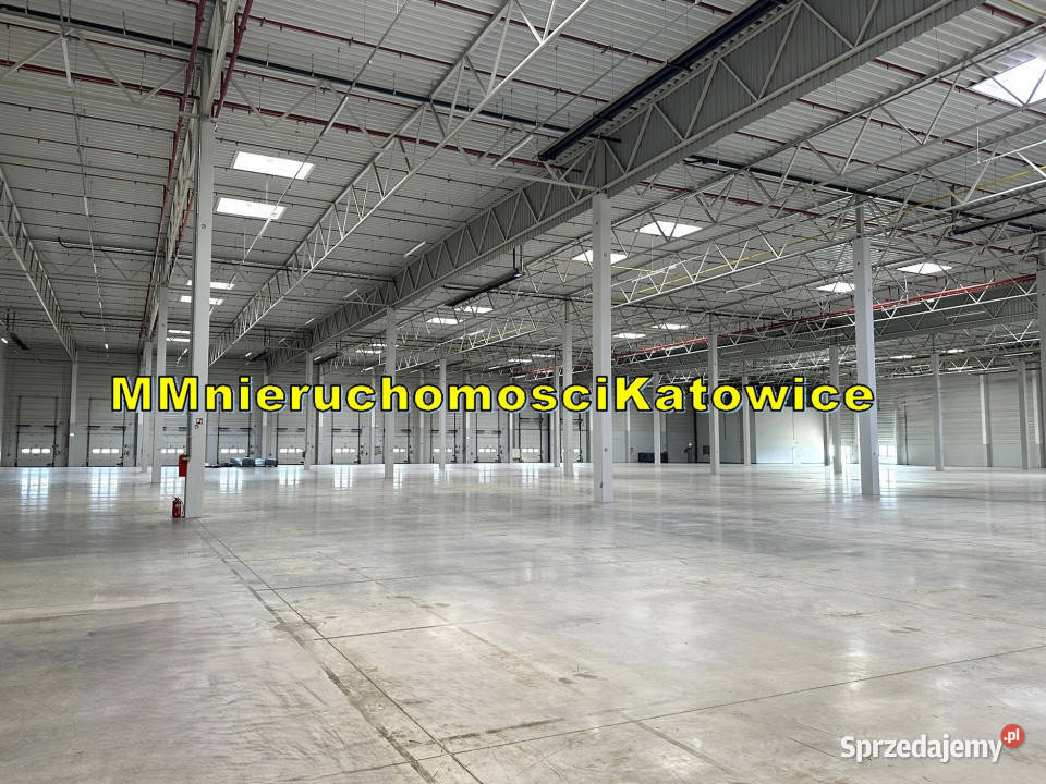 Magazyny do wynajęcia Ruda Śląska A4 do 13150 m2 winda