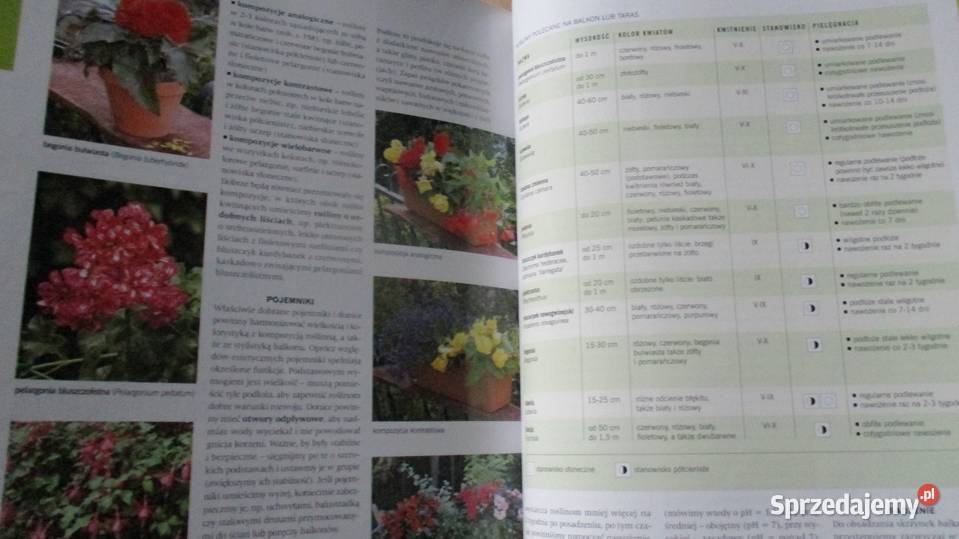 Wielki poradnik rodzinny zdrowie dom poradnik łódzkie Łódź