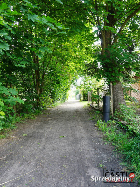 Stegna I 1000m2 I kameralna utwardzona pomorskie