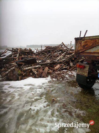 sprzedam przyczepę D50 nieuszkodzony Parczew sprzedam