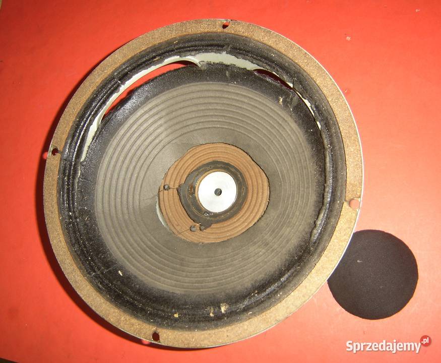 CELESTION głośnik gitarowy G 12 G12 najtaniej Wrocław