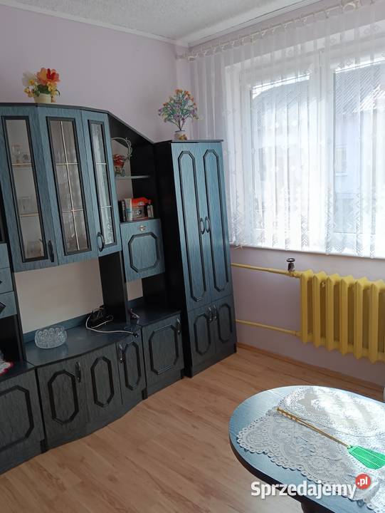 Mieszkanie z ogródkiem garaż Parkoszewo