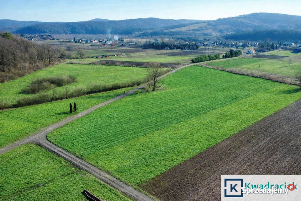 Grunt Mrzygłód 4400m2 sprzedam