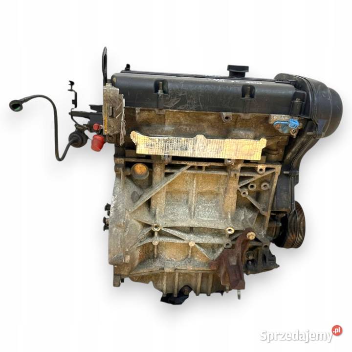 SILNIK SHDA Ford Focus II MK2 C C 16 16V 100