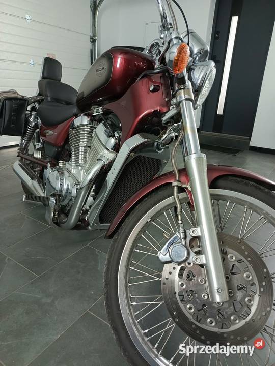 Suzuki Intruder 800 Cielęta