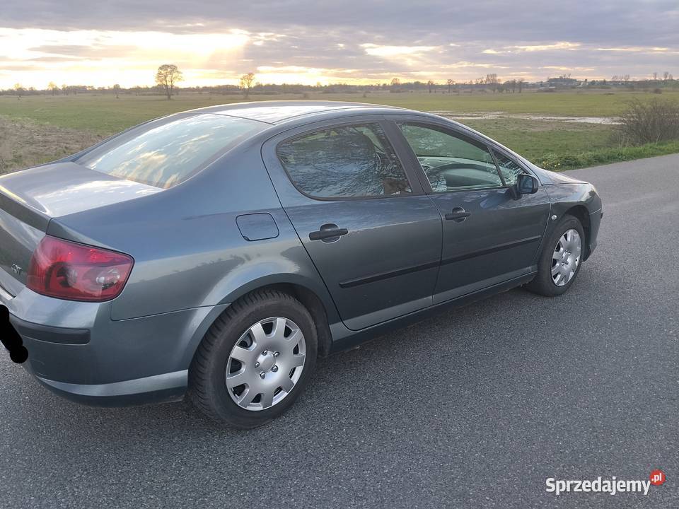 Peugeot 407 18 gaz łódzkie Łęczyca