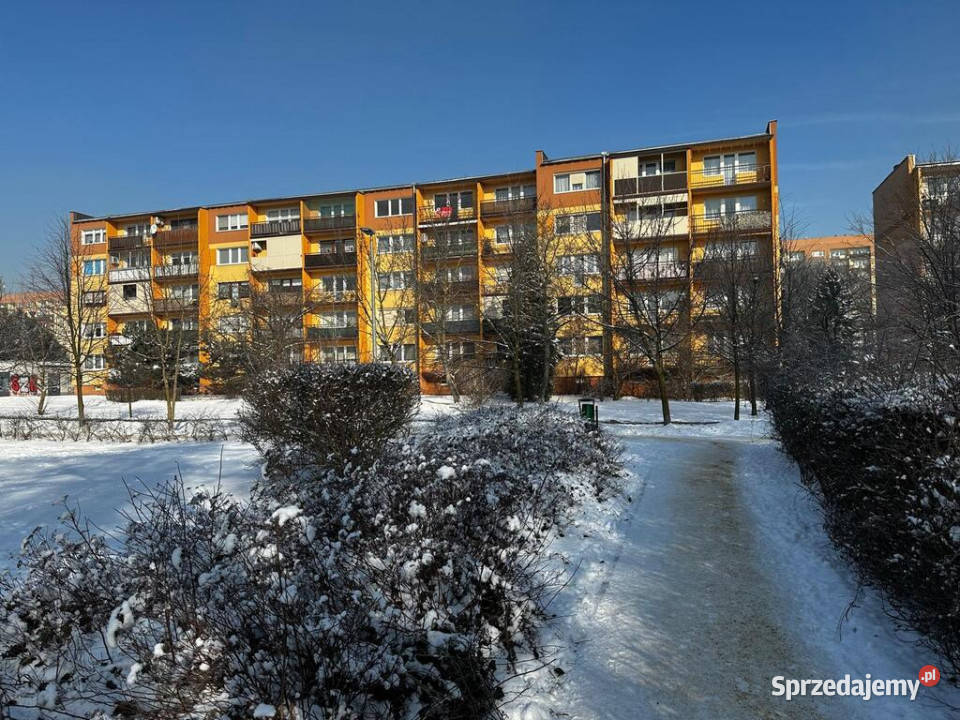 Na sprzedaż mieszkanie z potencjałem 642 m2 Piotrków Trybunalski sprzedam