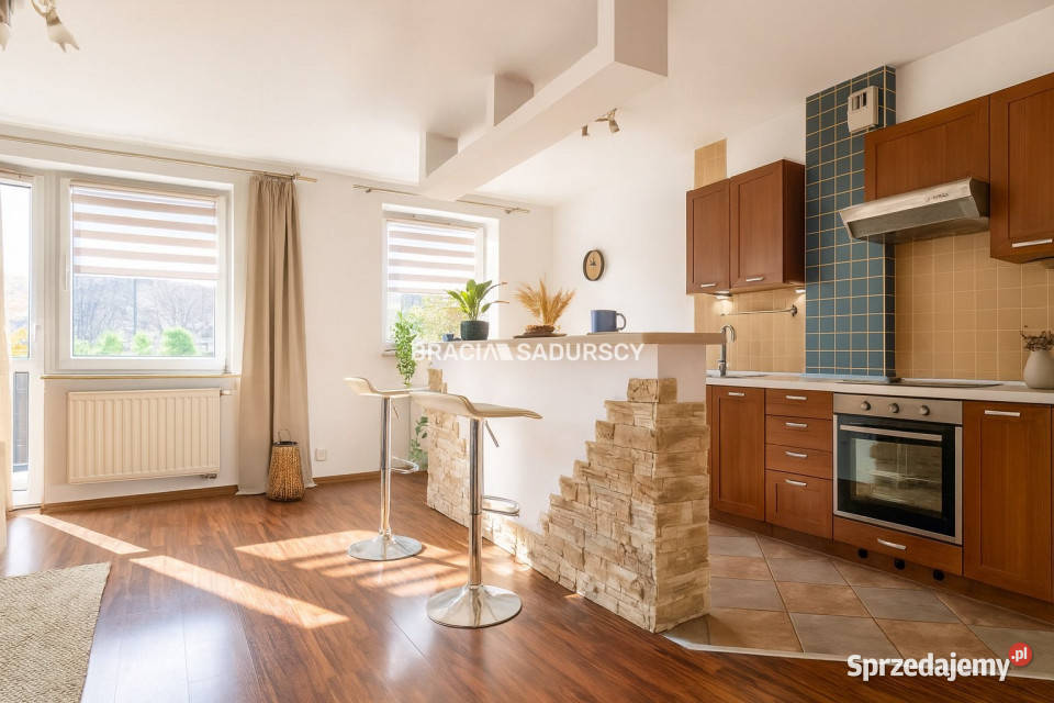 Ogłoszenie mieszkanie 362m2 1 pokój Kraków parter