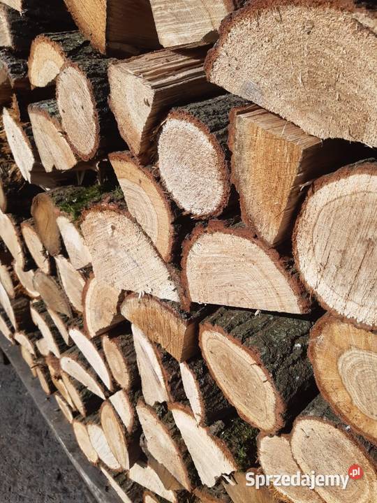 Buk dąb grab twarde drewno opałowe premium Złocieniec