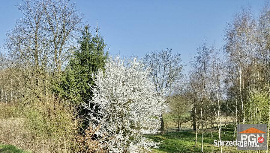 Do sprzedaży działka Gryfice 1722m2 1722m2 Sprzedaż