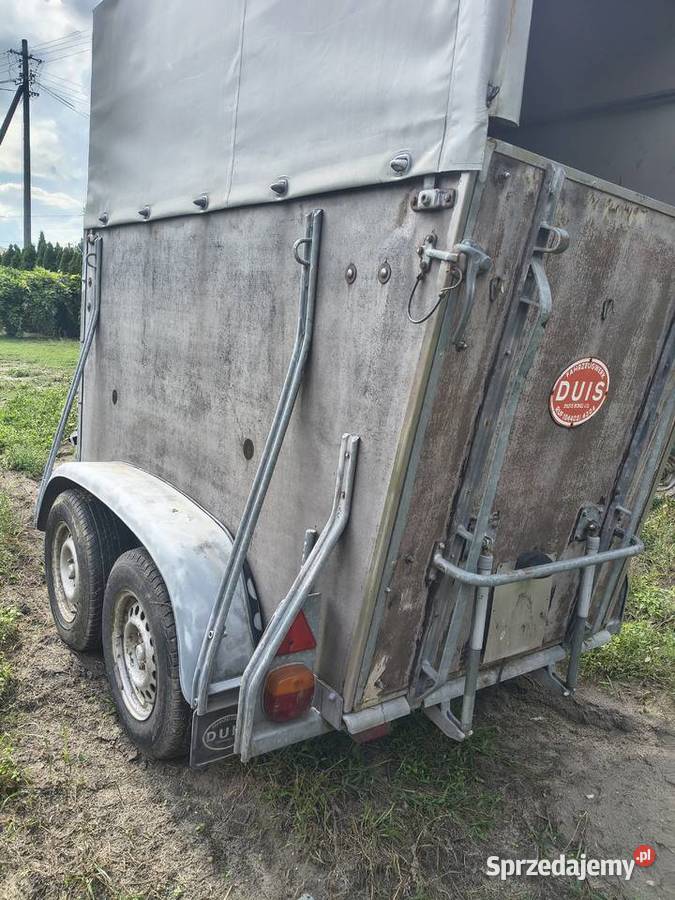 Przyczepa do przewozu koni 15 Chełm