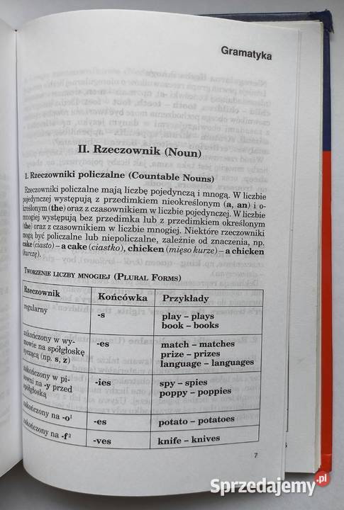 Słownik angielskopolski polskoangielski idiomy i Radom