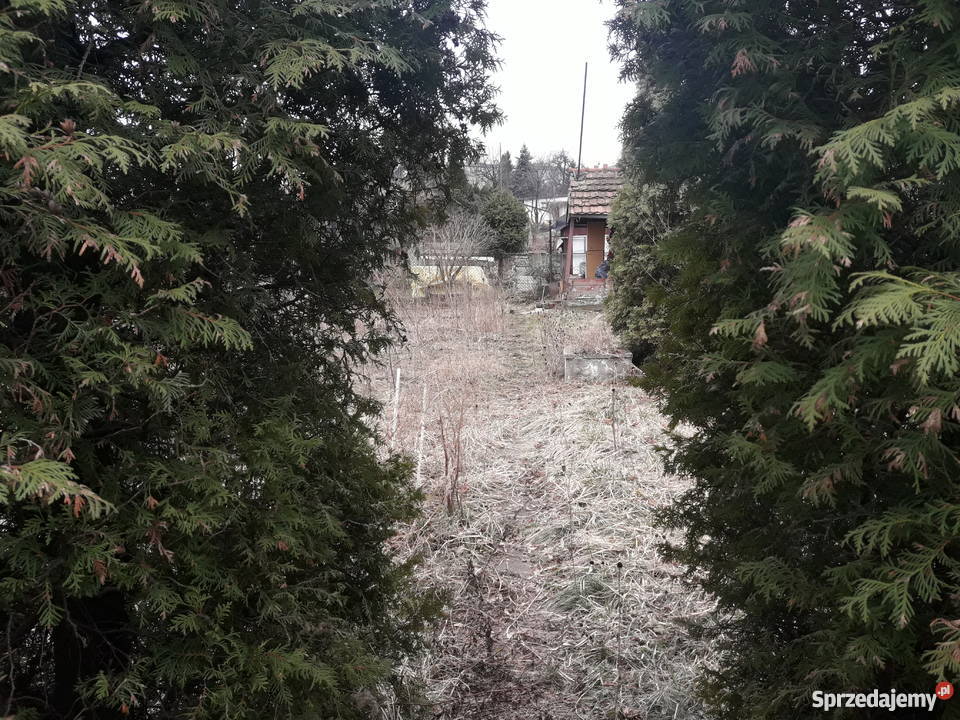 Sprzedam ogródek działkowy ROD ZORZA Bytom sprzedam