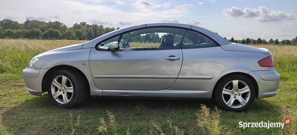 Peugeot 307 CC 20PB 136 Kabriolet srebrny Lubsko sprzedam