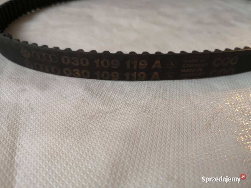 Pasek Klinowy 03109119A