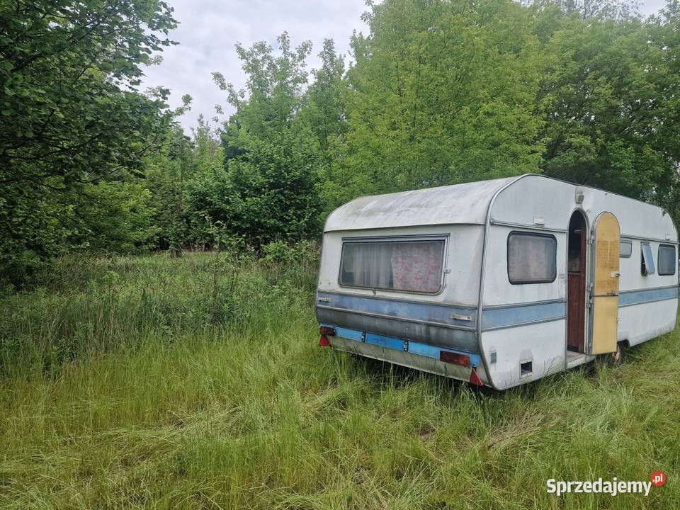 Przyczepa kempingowa Wilk