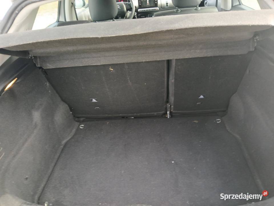 Citroen C4 cactus 2018 roku