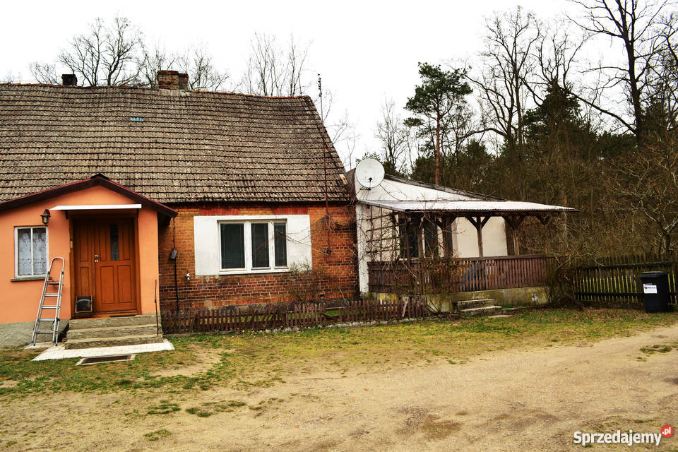 Dom na wsi lesie piękna okolica Górki Noteckie