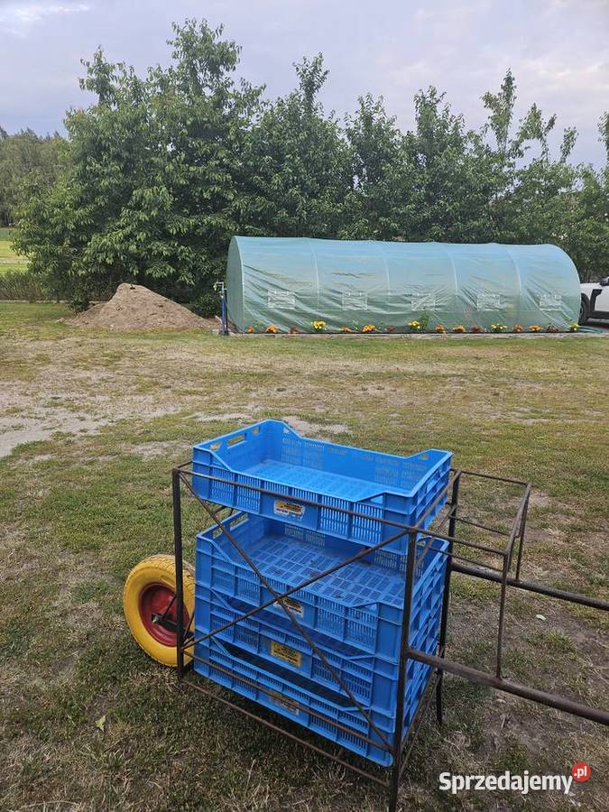 Wózki do zbioru malin Majdan