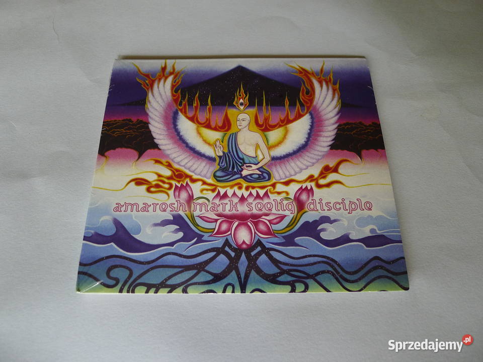 STEVE ROACH MARK SEELIG Disciple Robert Rich 1 płyta Radom sprzedam