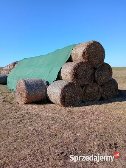 Słoma baloty 120x120 Pruszcz sprzedam