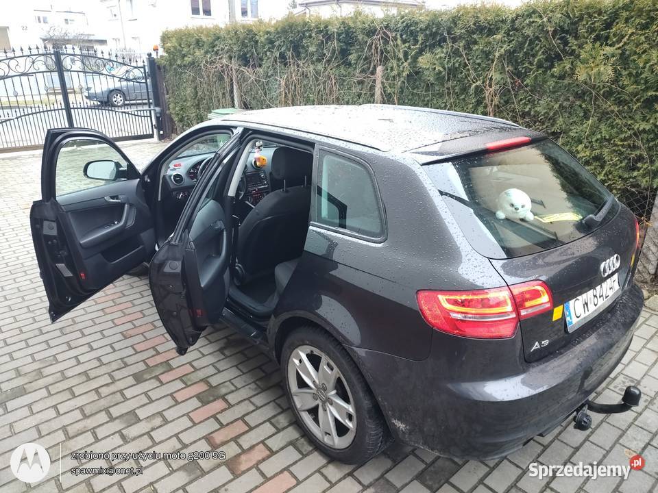 oferuje na spżedarz zadbany egzemplarz Audi A3 immobilizer Włocławek sprzedam