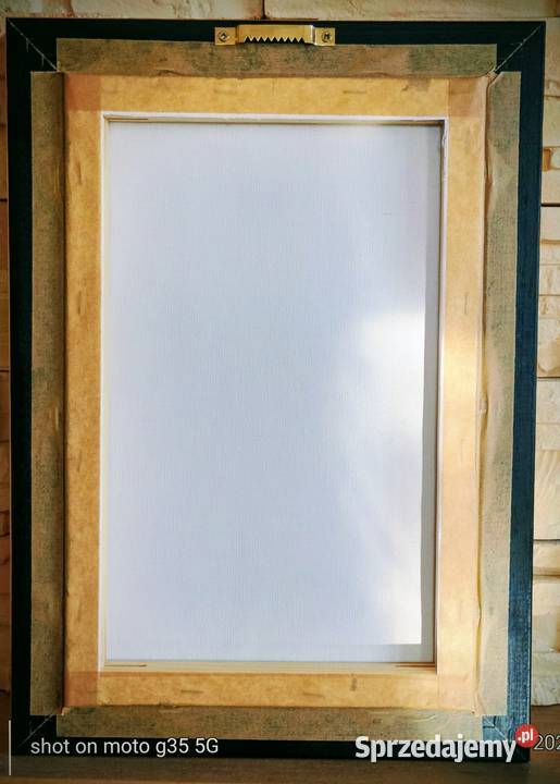 Słoneczniki Bychawka Trzecia