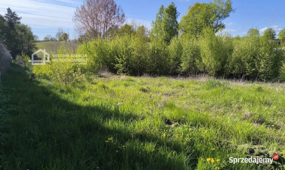 sprzedaży działki Dobrzewino 1667m2