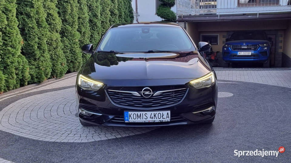Opel Insignia Automat Navi Kamera Serwis garażowany Płońsk