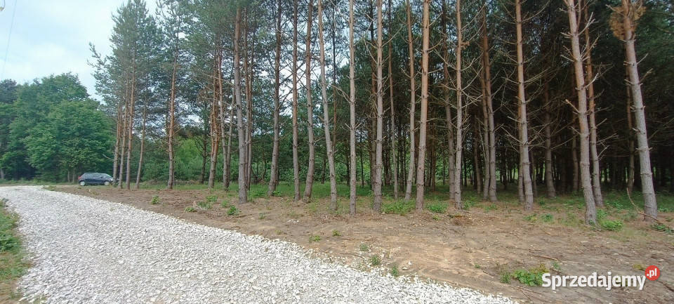 sprzedaży gruntu 2197m2 Daleszyce 34m