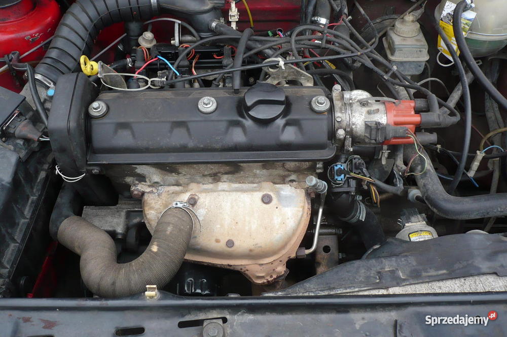 Volkswagen Golf nieuszkodzony kujawsko-pomorskie Kcynia