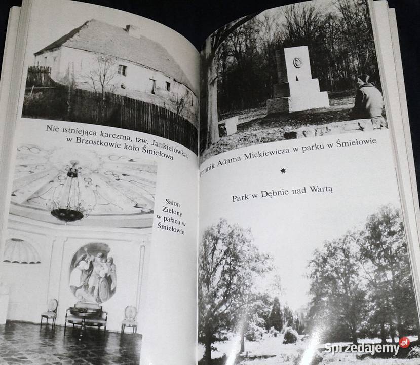 Wielkopolskim szlakiem Adama Mickiewicza Piotr sprzedam