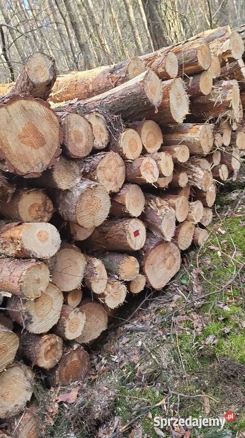 Drewno Opałowe kominkowe Łupane kujawsko-pomorskie