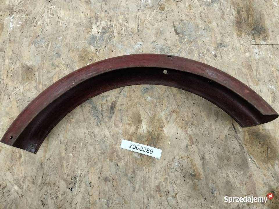 Komar błotnik przedni Rozkochów